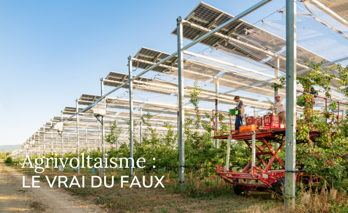 8 fake news sur l'agrivoltaïsme