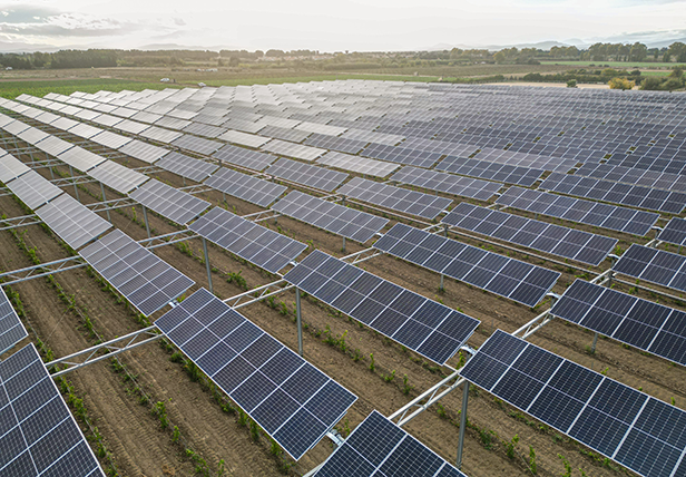 Un projet agrivoltaïque de Sun'Agri obtient le premier label de l'AFNOR