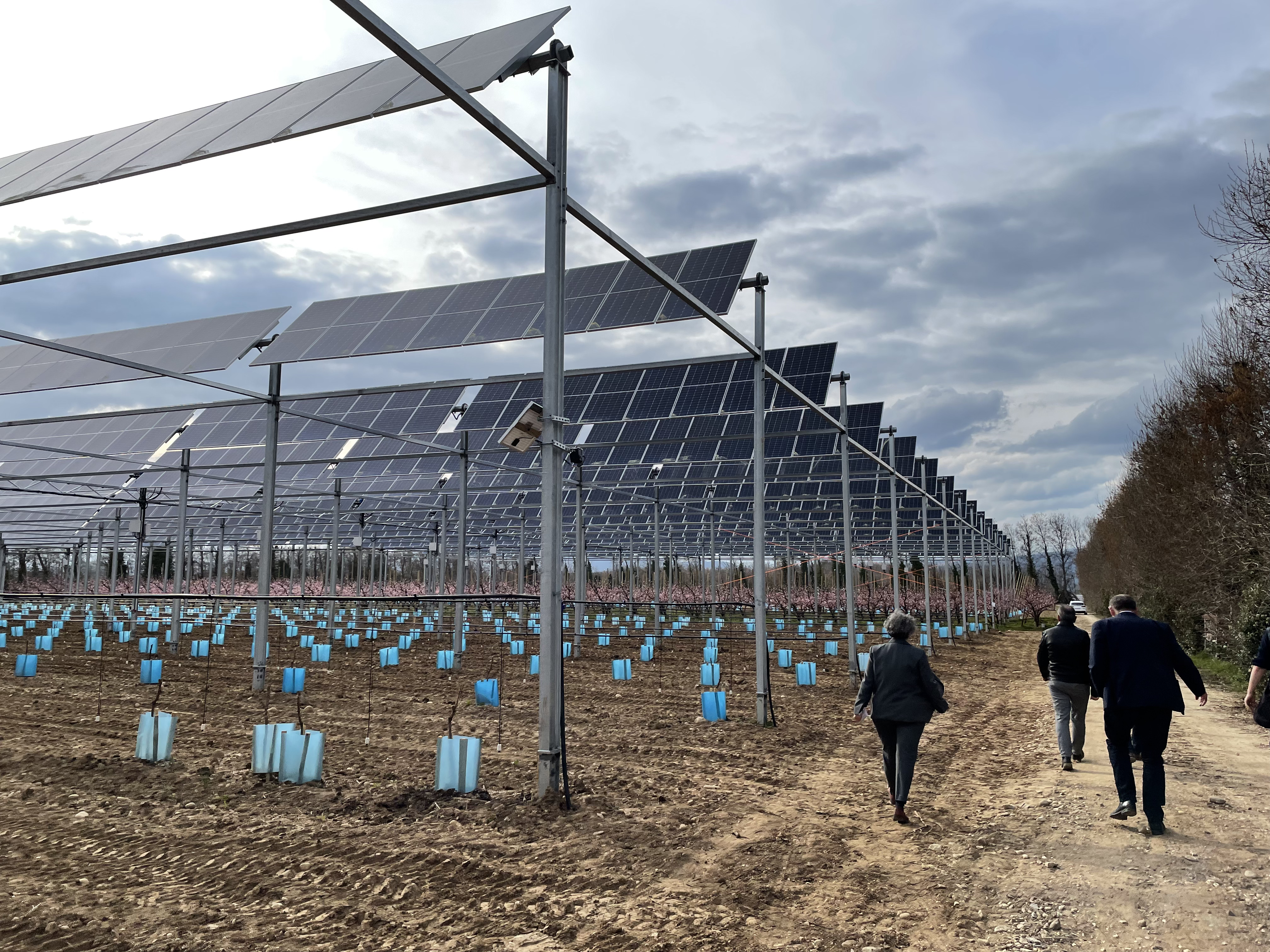 Inauguration du démonstrateur agrivoltaïque d'Etoile sur Rhône