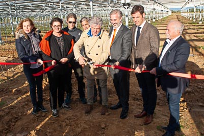 Featured image for “La première centrale vitivoltaïque française a été inaugurée”