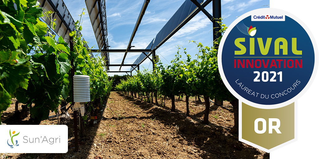 Featured image for “Sun’Agri récompensé au concours SIVAL Innovation 2021”