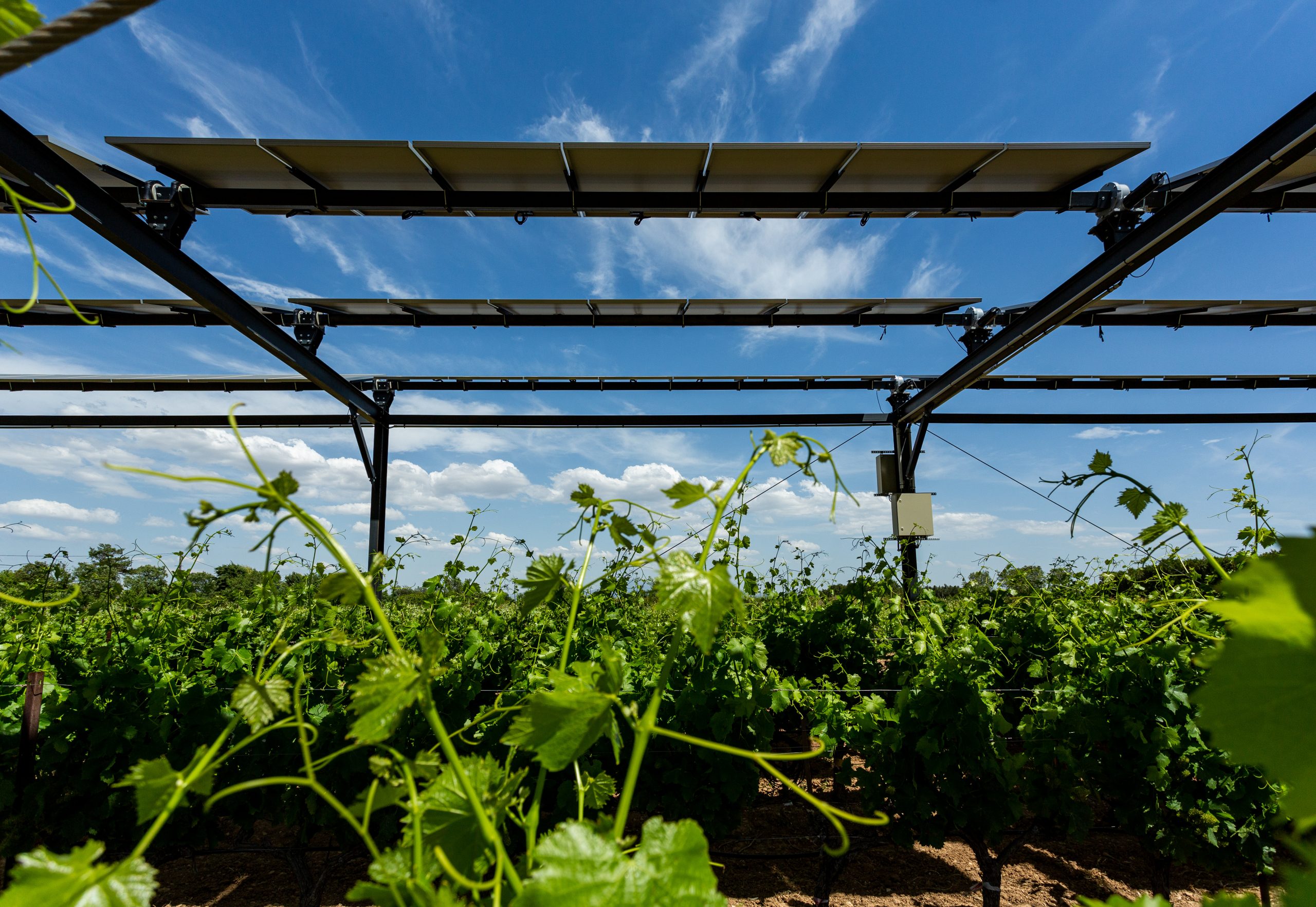 Featured image for “L’agrivoltaïsme dynamique développé par Sun’Agri reconnu comme solution d’adaptation au changement climatique”