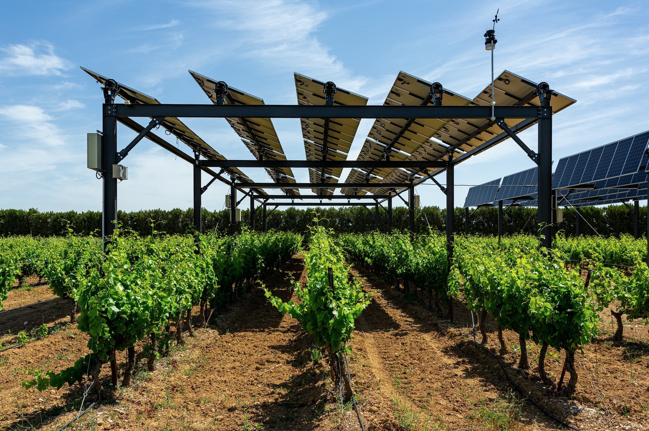Featured image for “Article: Solar’s flexibility can be agriculture’s gain”