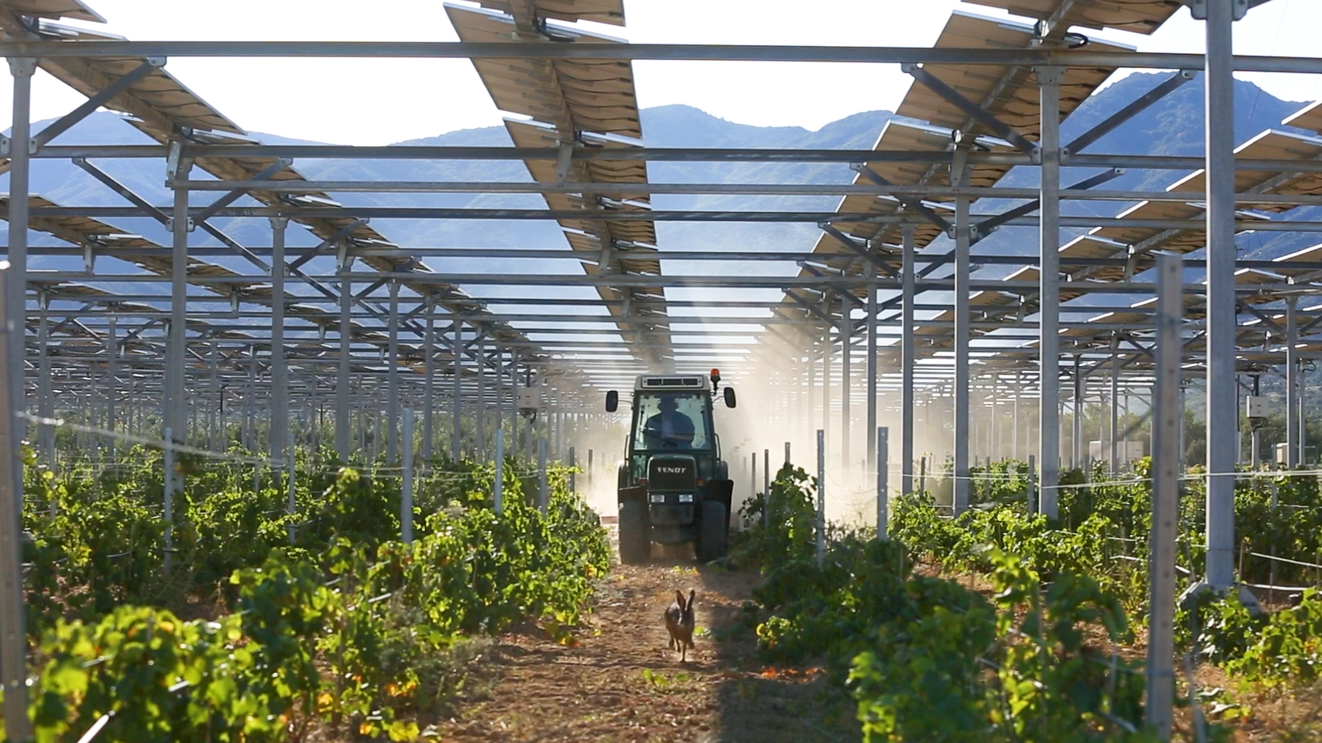 Featured image for “Article: How Solar Panels Could Help Save Struggling Farms”
