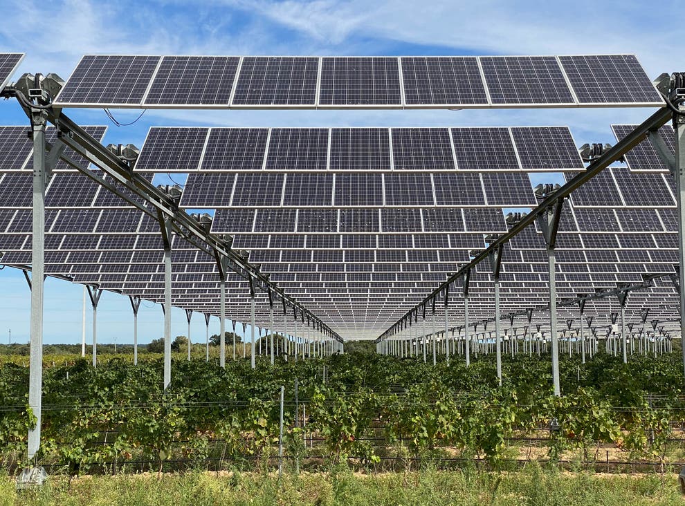 solar panels over wineyards
