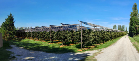 Photomontage installation agrivoltaïque earl clair fruits Loriol
