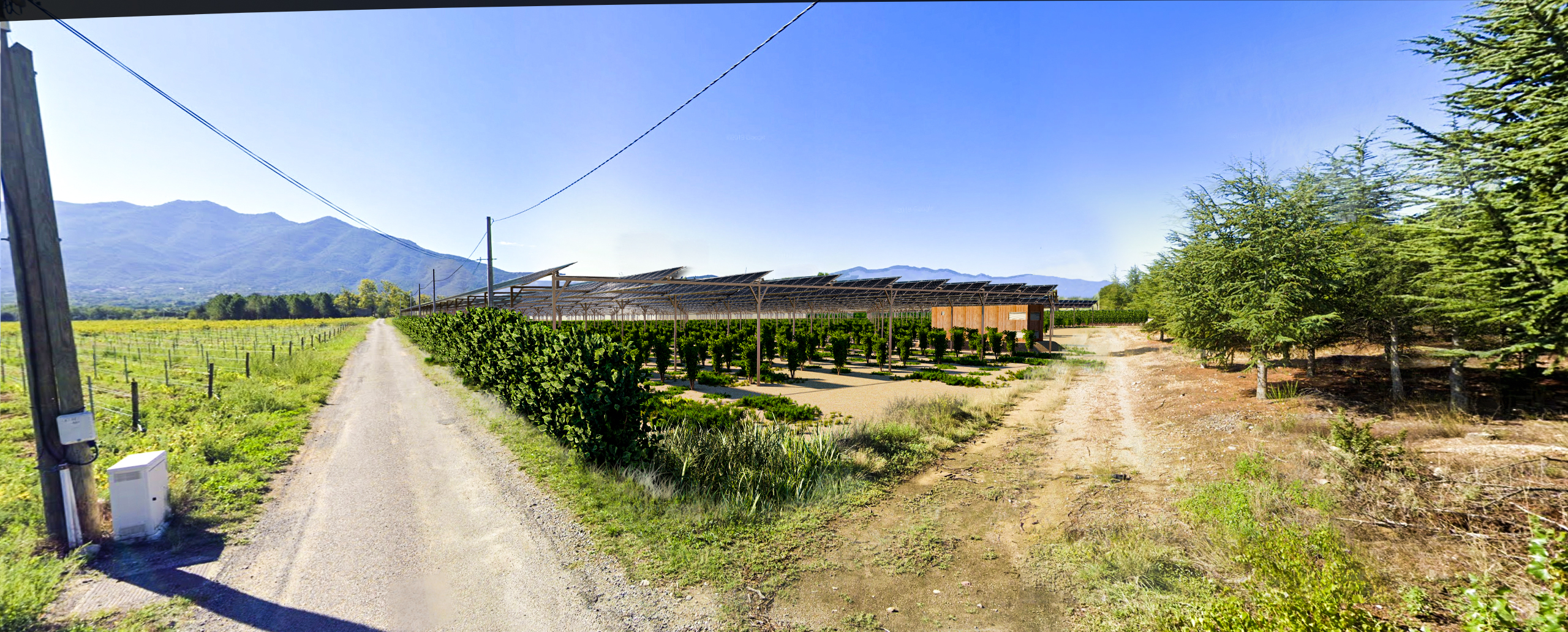 agrivoltaïsme sur vignes à Tresserre 2 Domaine de Nidolères