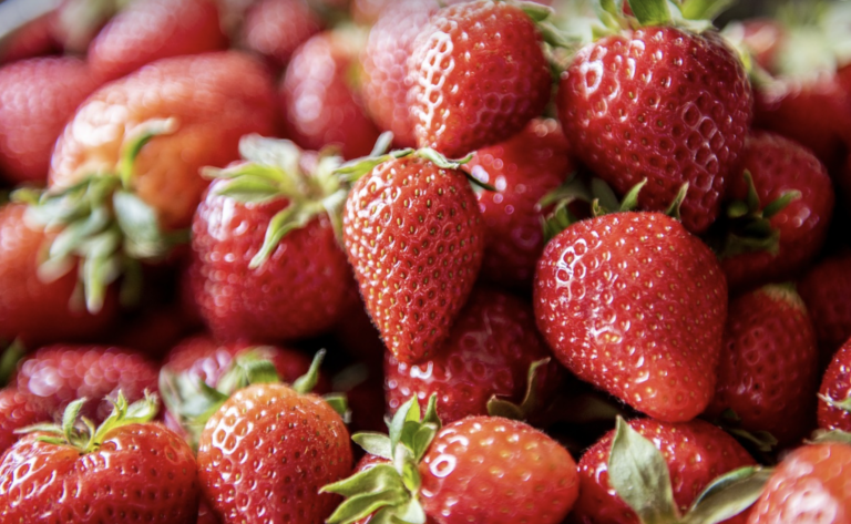 Featured image for “Des fraises plus grosses sous abri photovoltaïque”