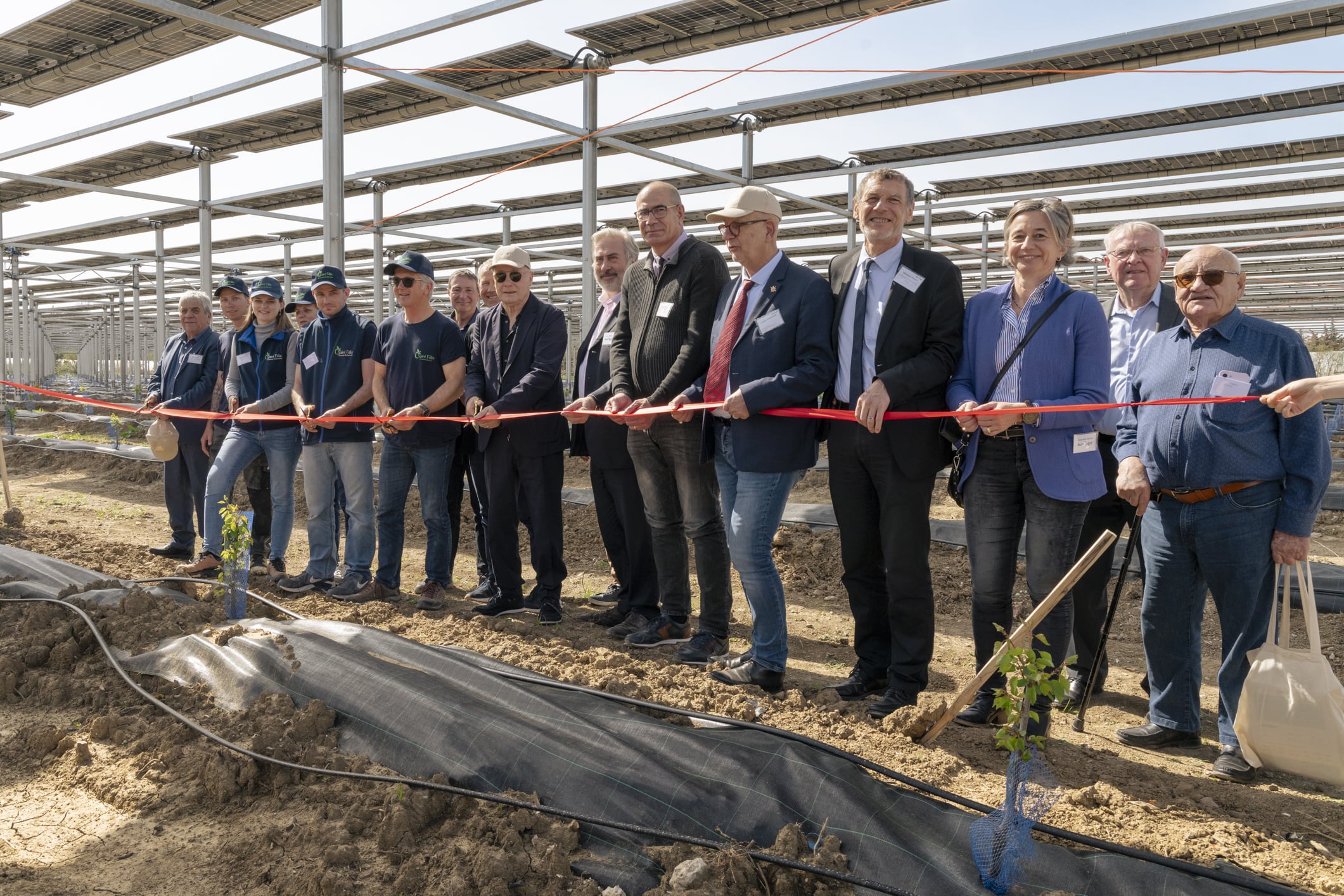 Featured image for “Sun’Agri inaugure dans le Vaucluse le premier dispositif agrivoltaïque dynamique mondial sur cultures d’abricots bio”