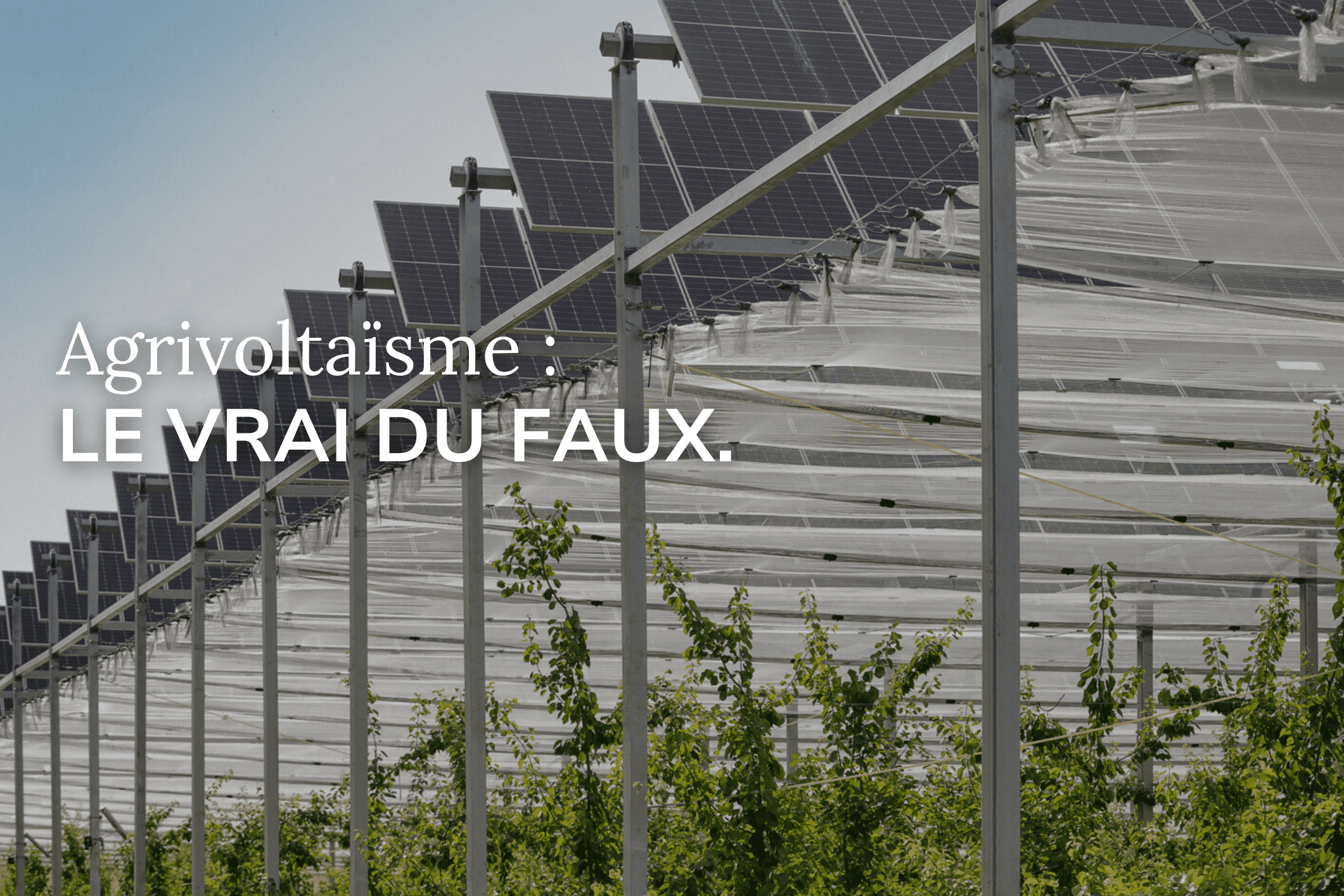 Featured image for “8 fake news sur l’agrivoltaïsme”