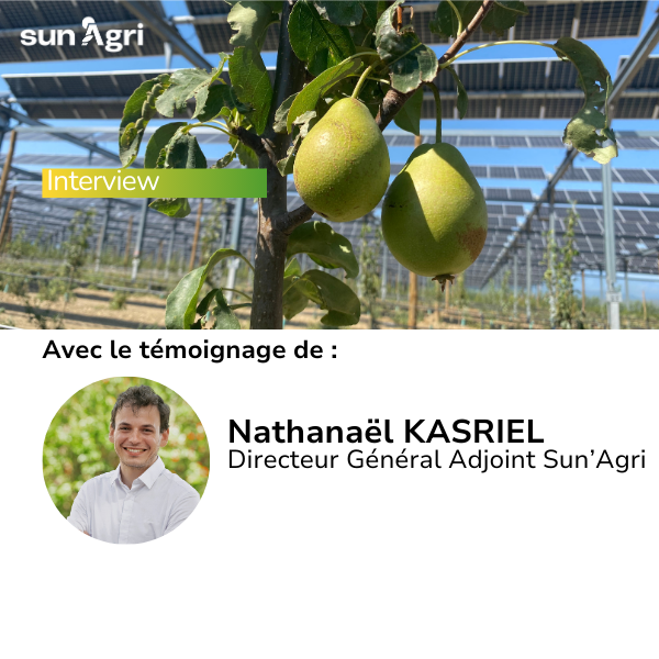 Featured image for “Protéger vos cultures face au changement climatique avec l’agrivoltaïsme : moins de nuisibles, plus de rendements”