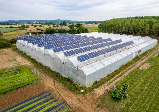 Serre agrivoltaïque vue drône